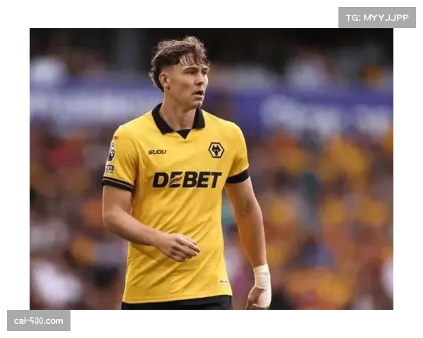 狼队冬窗净收入4870万英镑领跑盈利榜 出售拉尔森获巨额资金